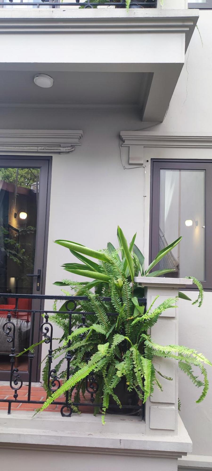 T Home Balcony Homestay Hanoi Exterior foto