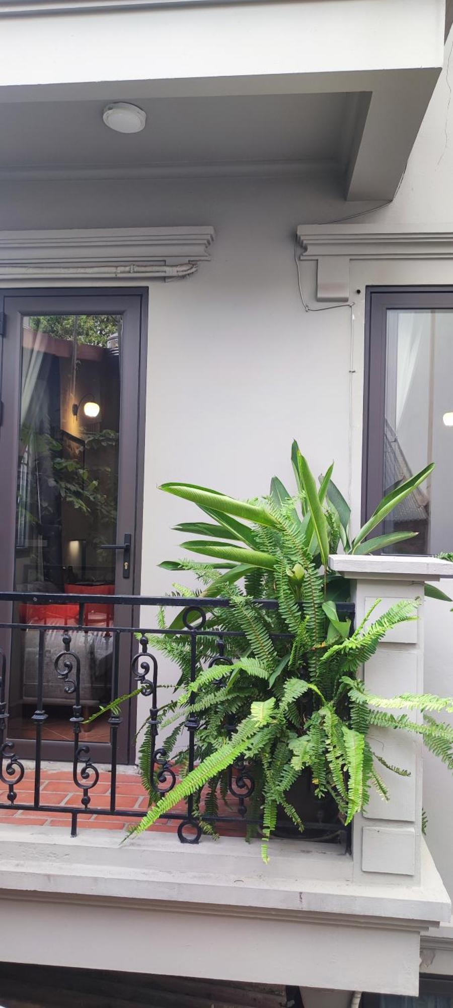 T Home Balcony Homestay Hanoi Exterior foto